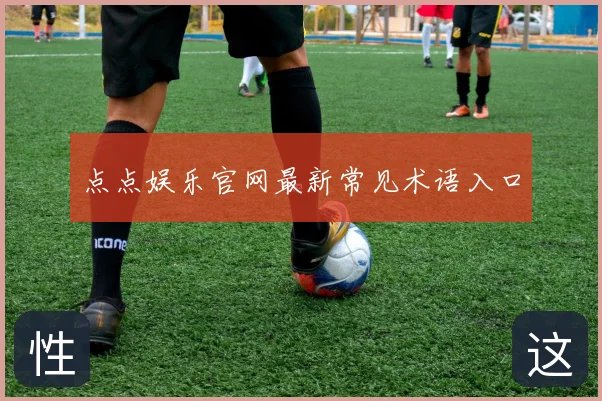 点点娱乐官网最新常见术语入口