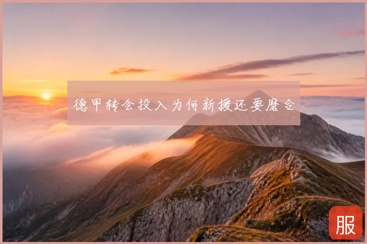 德甲转会投入为何新援还要磨合